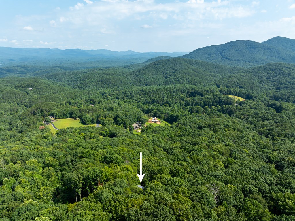 160 Hickory Trace