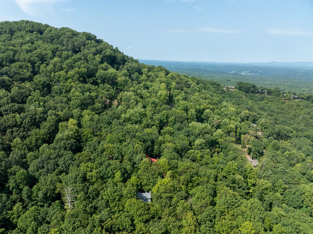 160 Hickory Trace