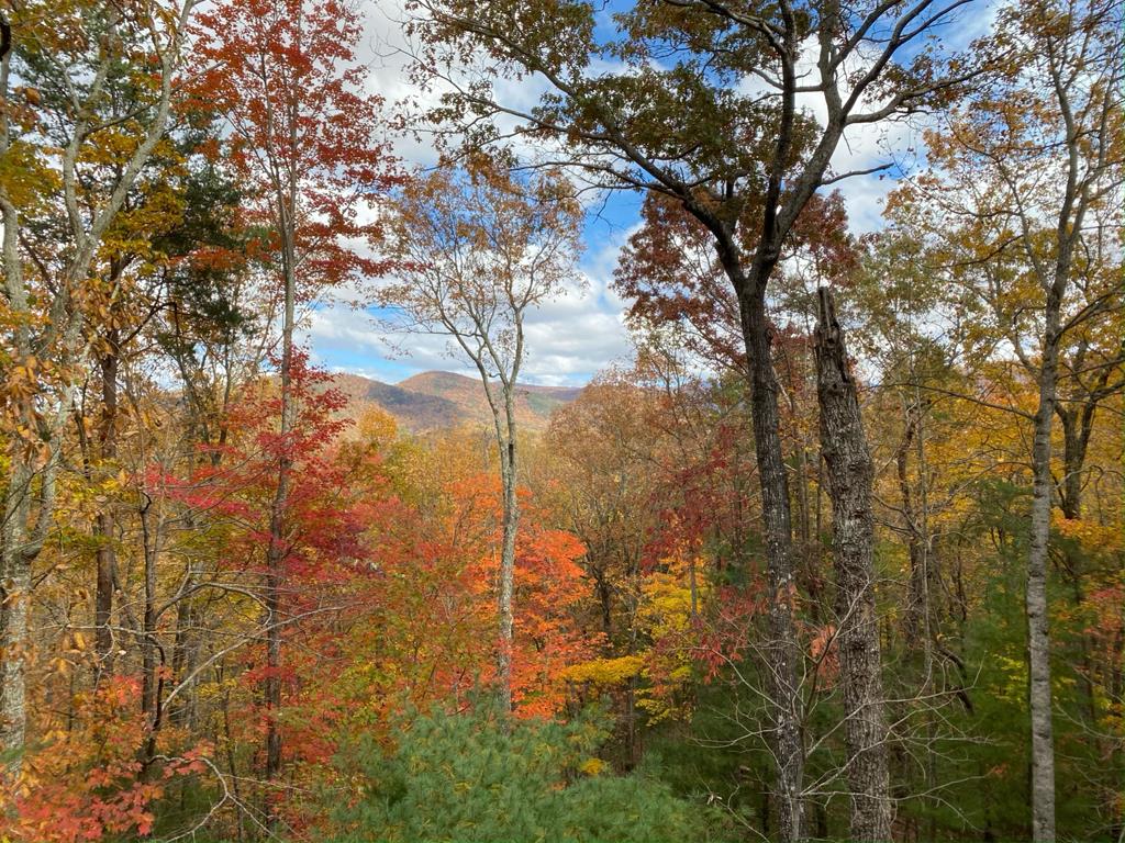 160 Hickory Trace