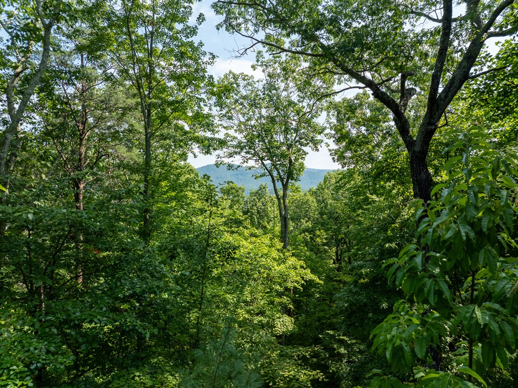 160 Hickory Trace