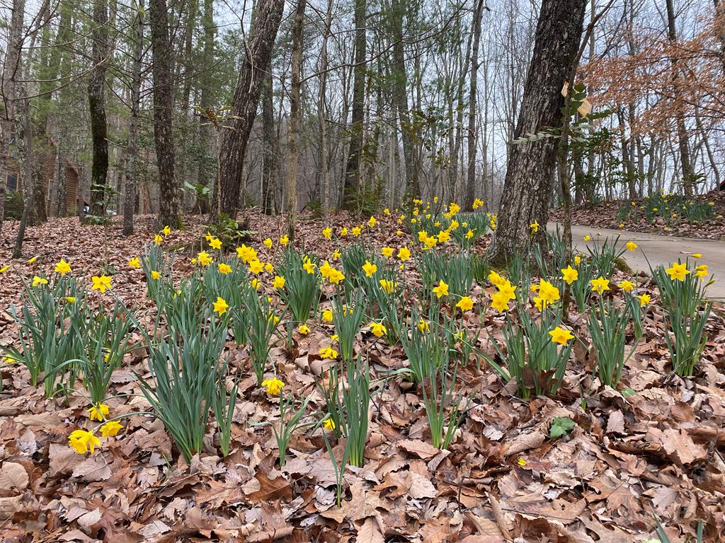 160 Hickory Trace