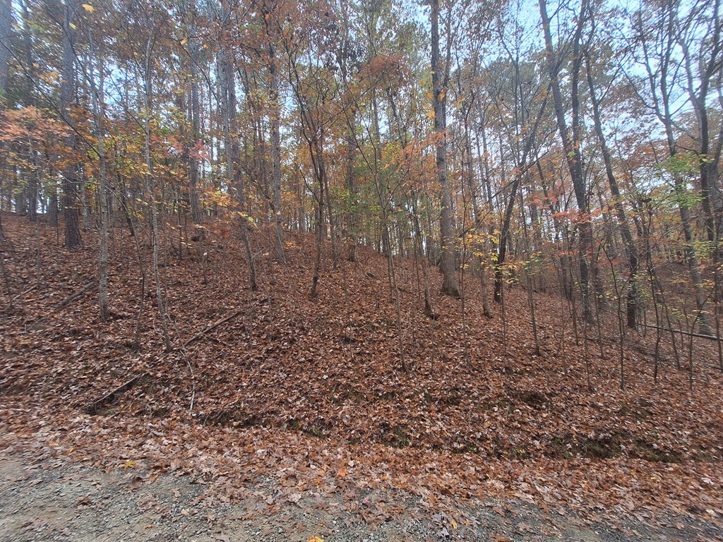 LT2909 Newton Lane