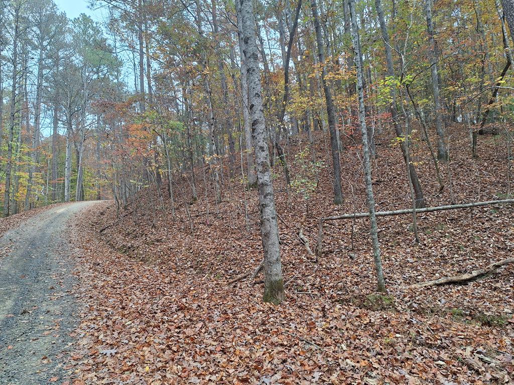 LT2909 Newton Lane