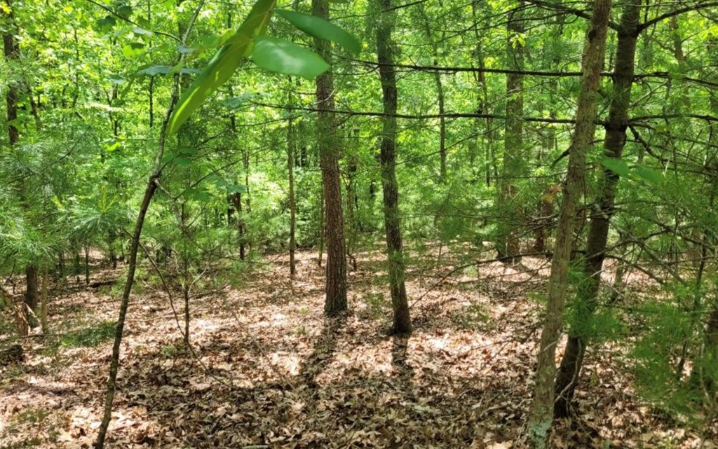 Lot 358 Waleska Lane