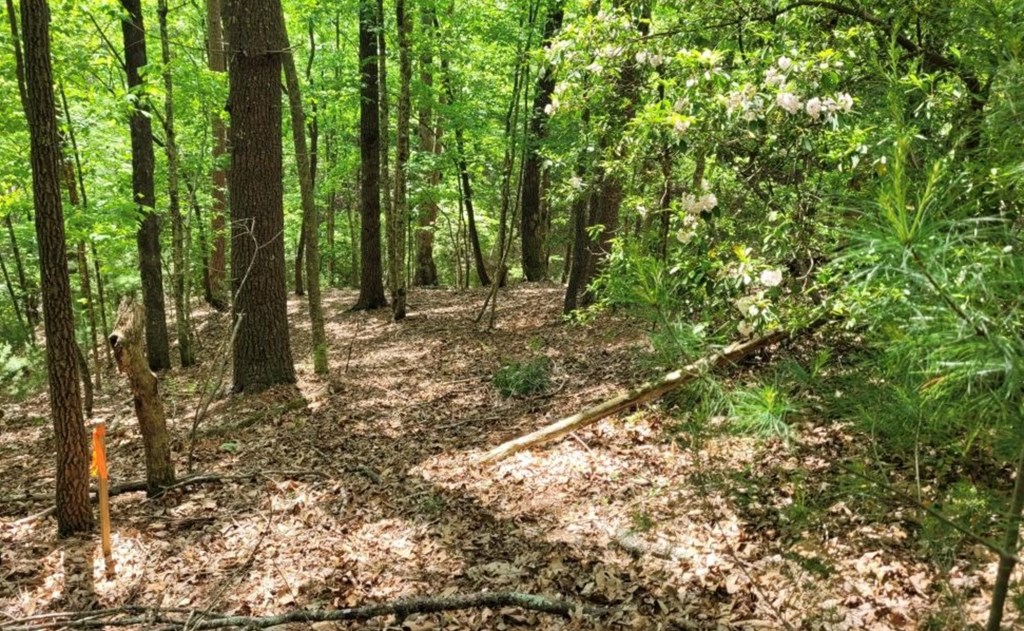 Lot 358 Waleska Lane