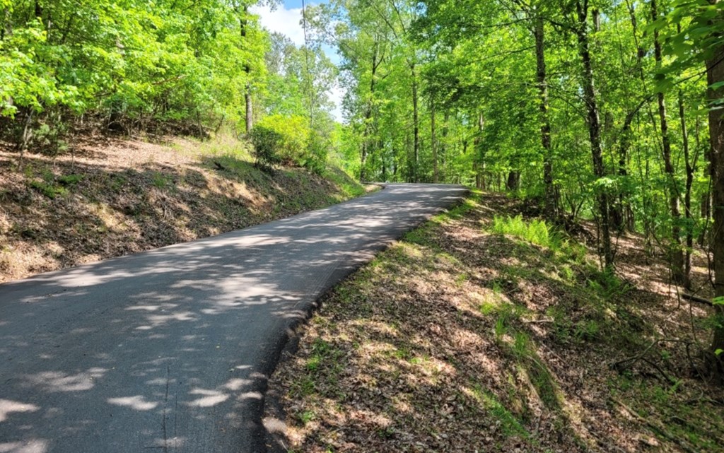Lot 358 Waleska Lane