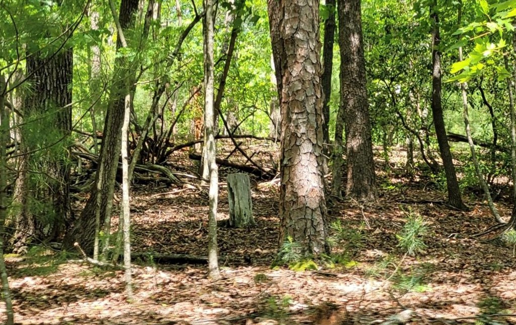 Lot 358 Waleska Lane