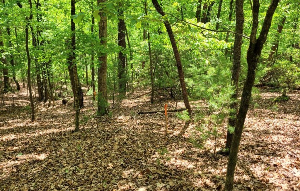 Lot 358 Waleska Lane