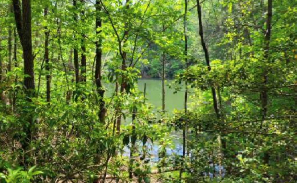 Lot 358 Waleska Lane