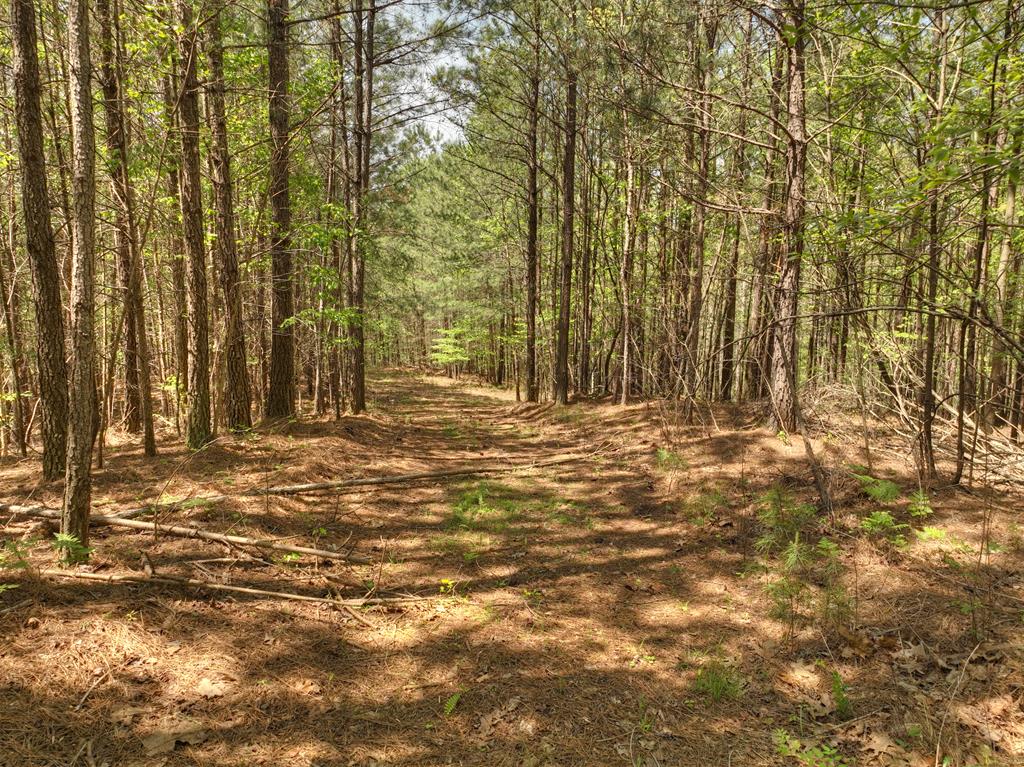 651 Bethel Road