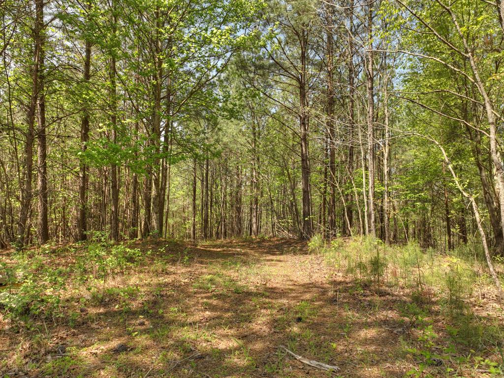 651 Bethel Road