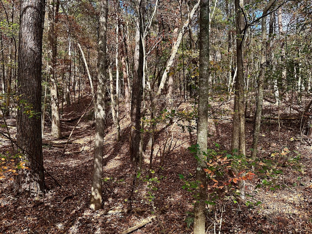 Lt 291 Creekside Trail