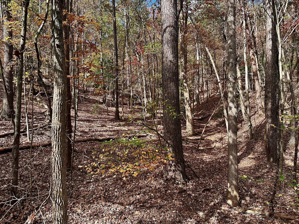 Lt 291 Creekside Trail