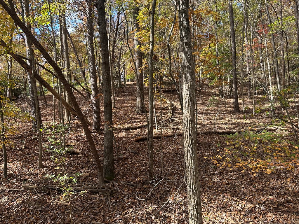 Lt 291 Creekside Trail