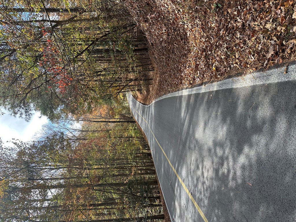 Lt 291 Creekside Trail