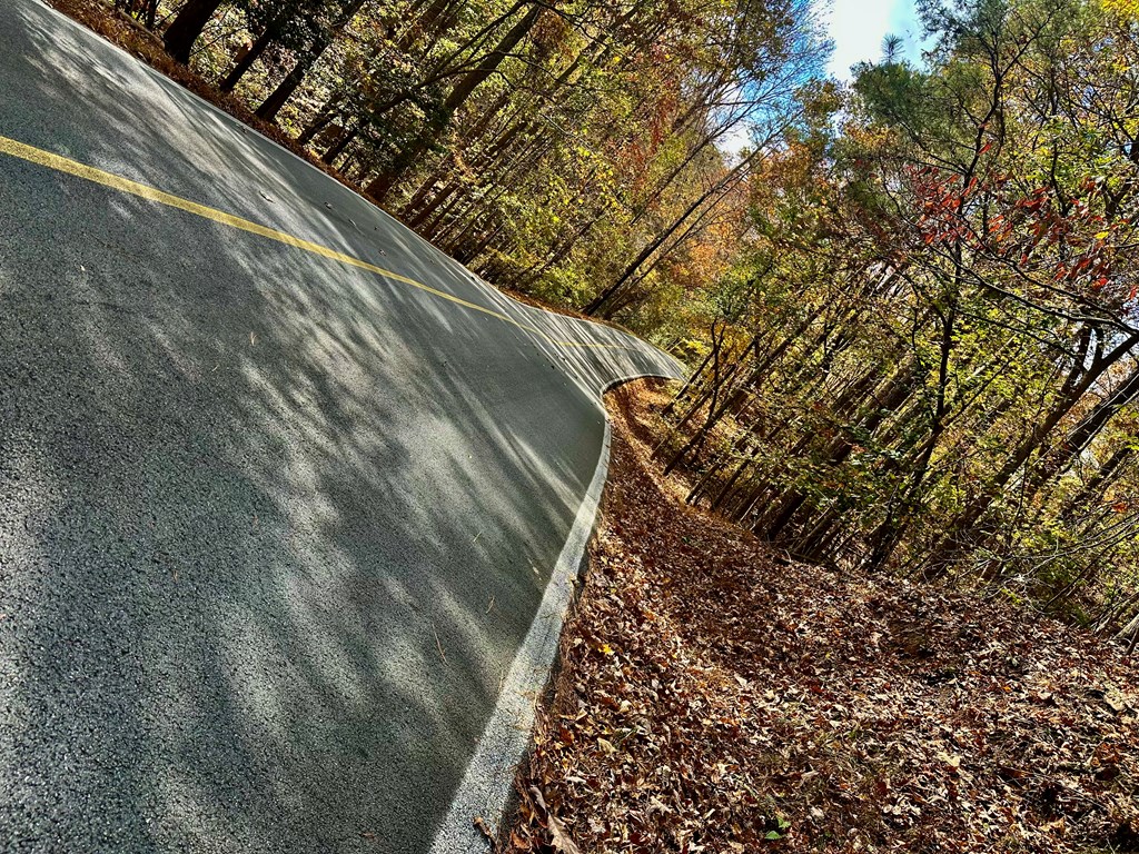 Lt 291 Creekside Trail