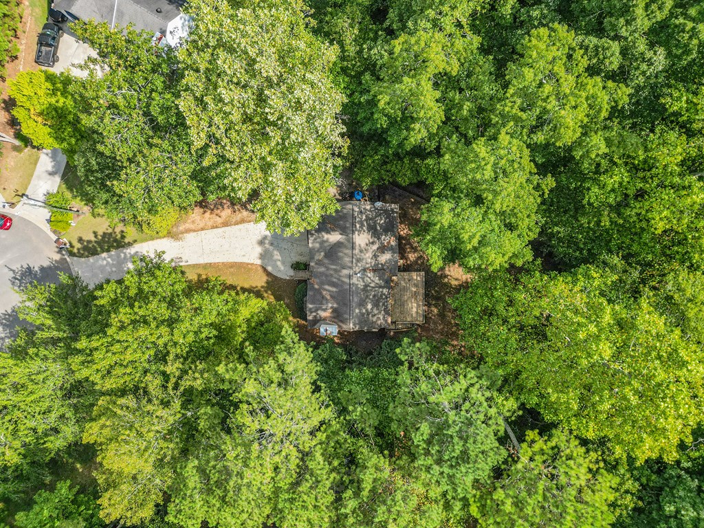 312 Magnolia Springs Trace