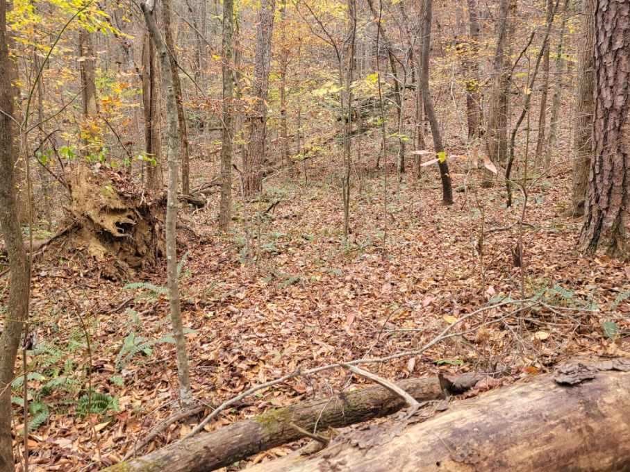 0 Old Chopped Oak Road