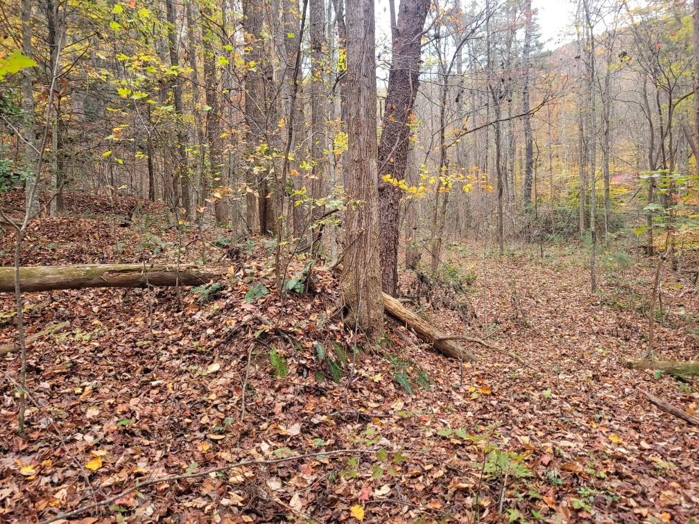0 Old Chopped Oak Road
