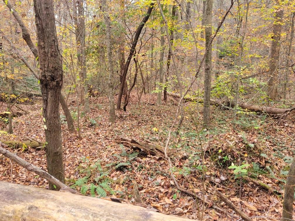 0 Old Chopped Oak Road