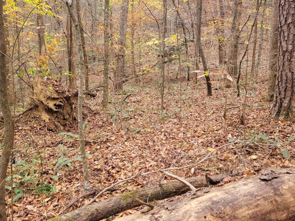 0 Old Chopped Oak Road
