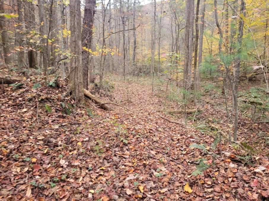 0 Old Chopped Oak Road