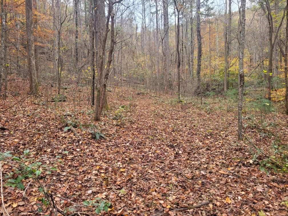 0 Old Chopped Oak Road