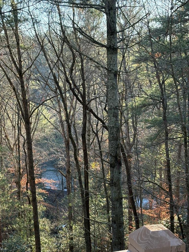 141 Indian Cave Road