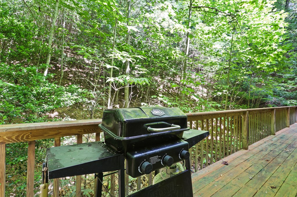 314 Wild Ridge Road