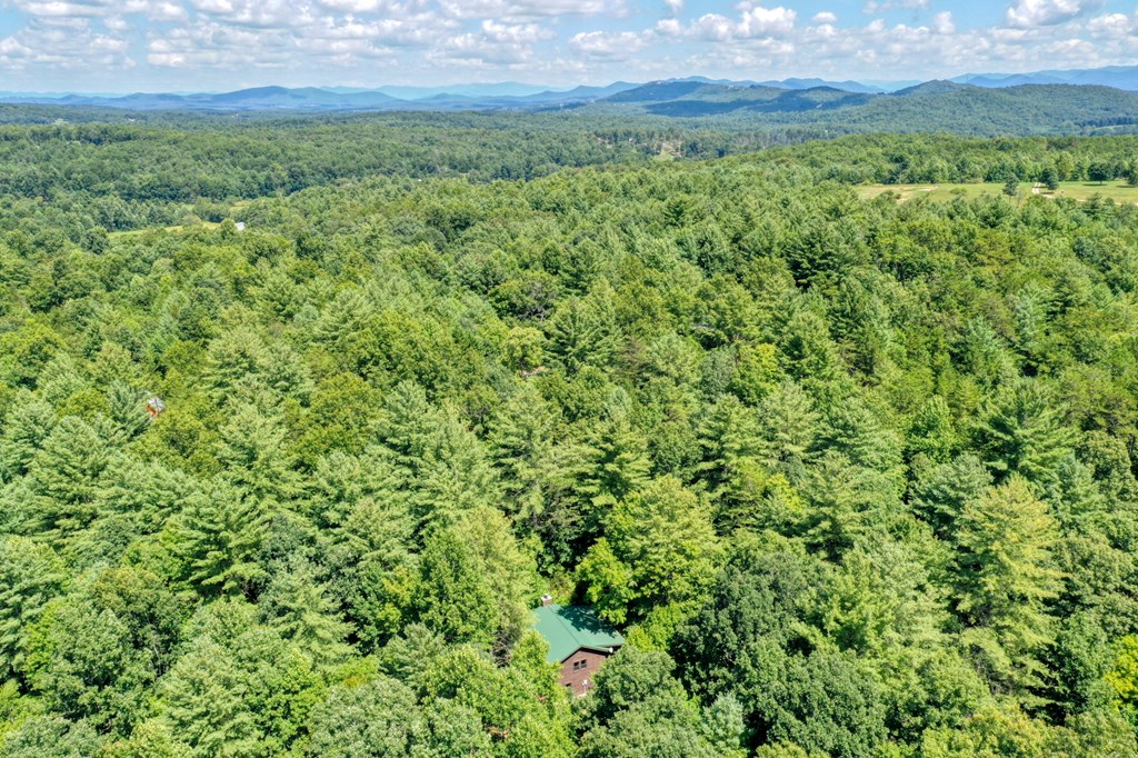 314 Wild Ridge Road