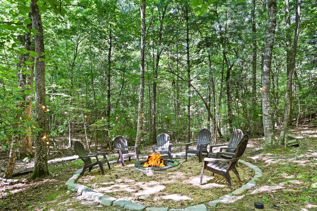 314 Wild Ridge Road