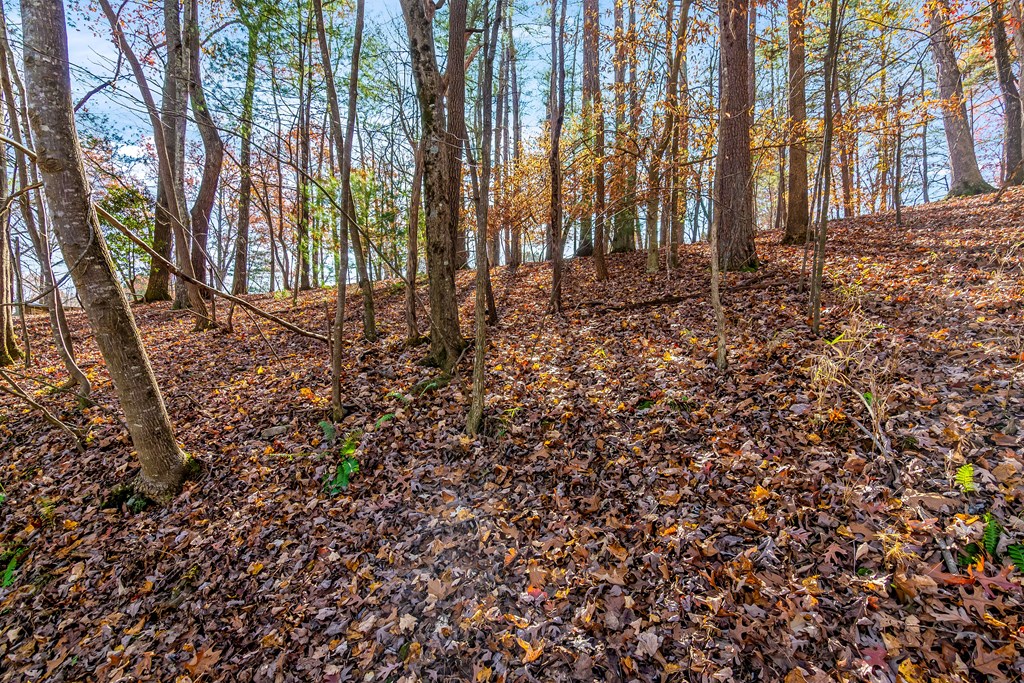 8 Hilltop Lane