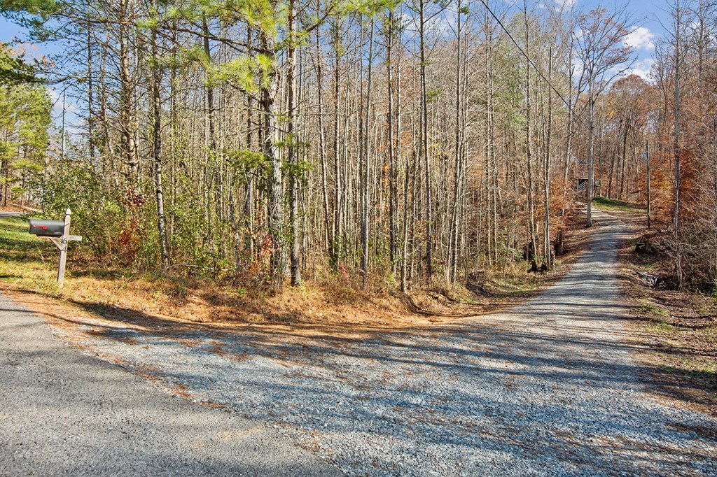 64 Blue Springs Road