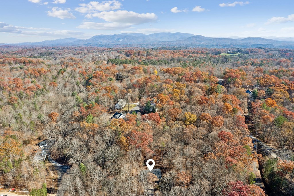 64 Blue Springs Road