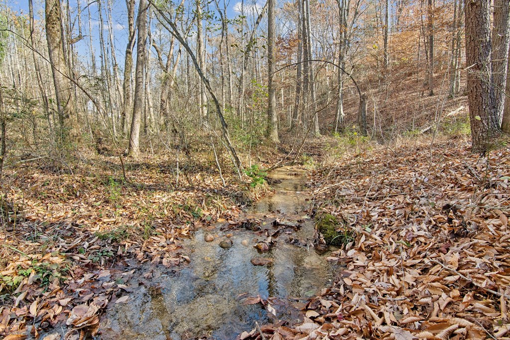 64 Blue Springs Road