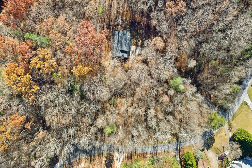 64 Blue Springs Road