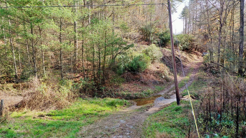 TR 3B Wolf Pen Gap Road