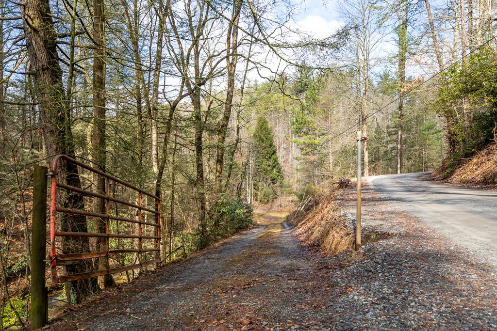 TR 3B Wolf Pen Gap Road
