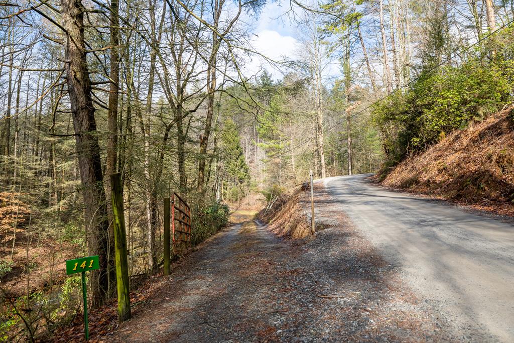TR 3B Wolf Pen Gap Road