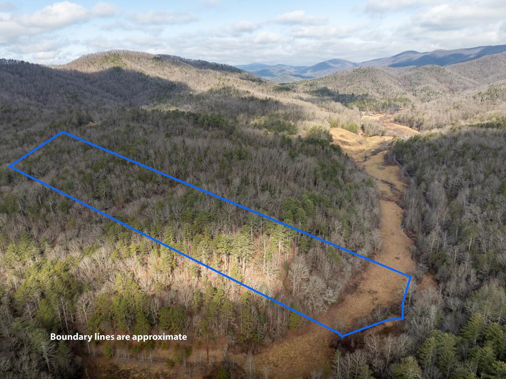 TR 3B Wolf Pen Gap Road