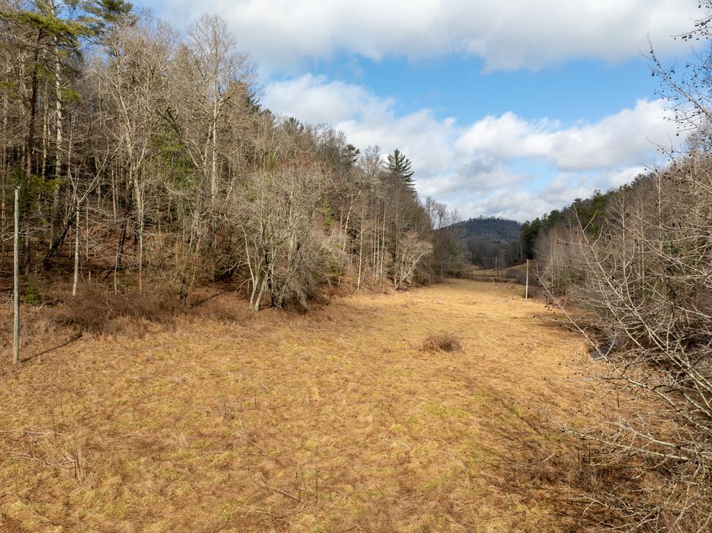 TR 3B Wolf Pen Gap Road