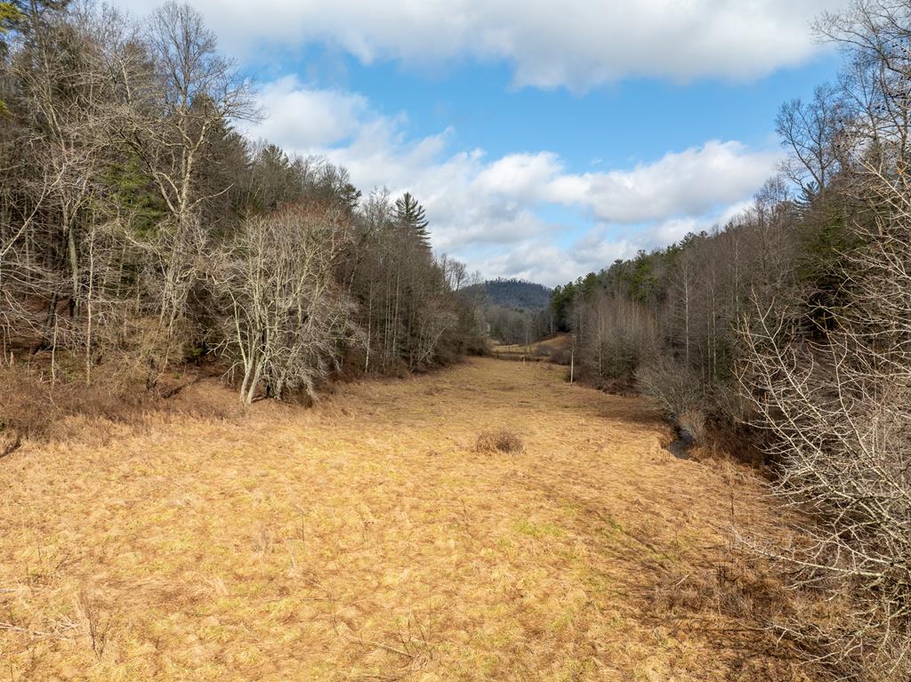 TR 3B Wolf Pen Gap Road
