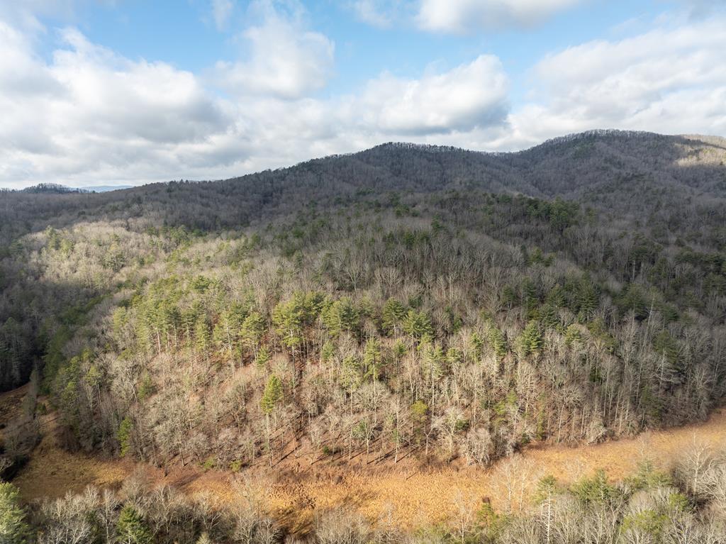 TR 3B Wolf Pen Gap Road