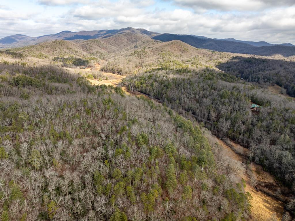TR 3B Wolf Pen Gap Road