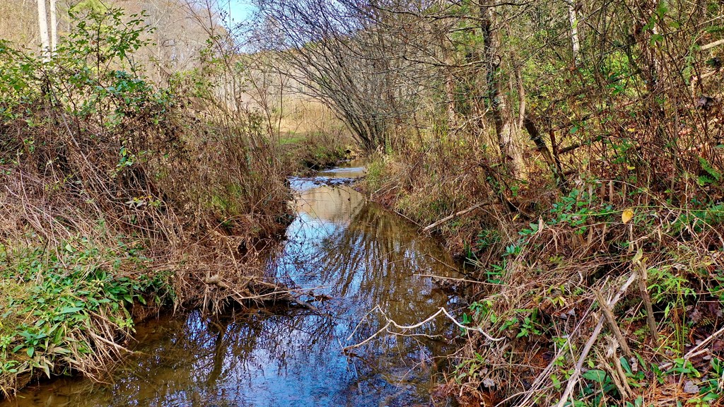TR 3B Wolf Pen Gap Road