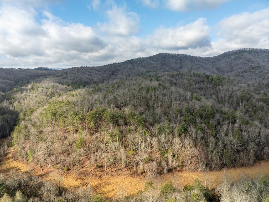 TR 3B Wolf Pen Gap Road