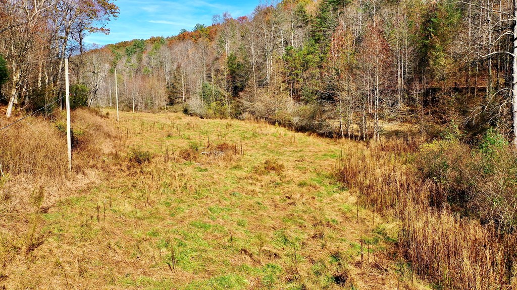 TR 3B Wolf Pen Gap Road
