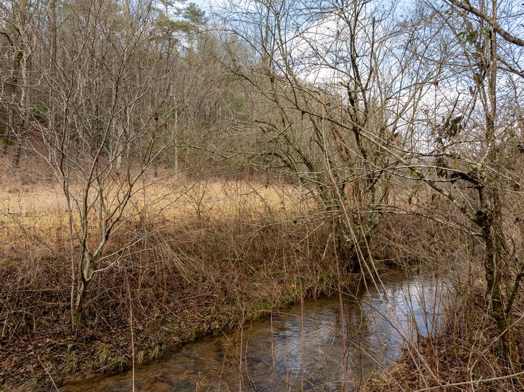 TR 3B Wolf Pen Gap Road