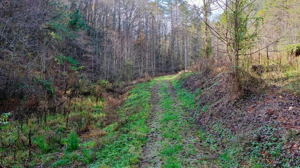 TR 3B Wolf Pen Gap Road