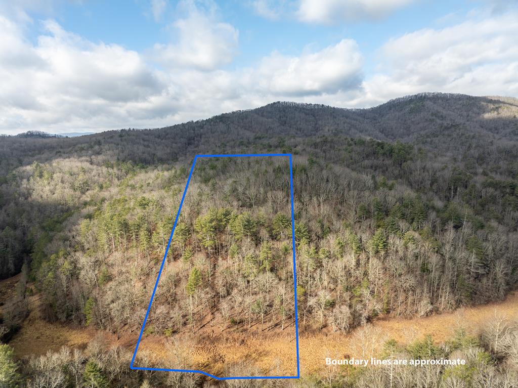 TR 3B Wolf Pen Gap Road
